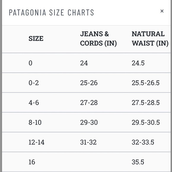 NEW! Patagonia Wavefarer Boardshorts NWT Women's Size 2 - Picture 3 of 11